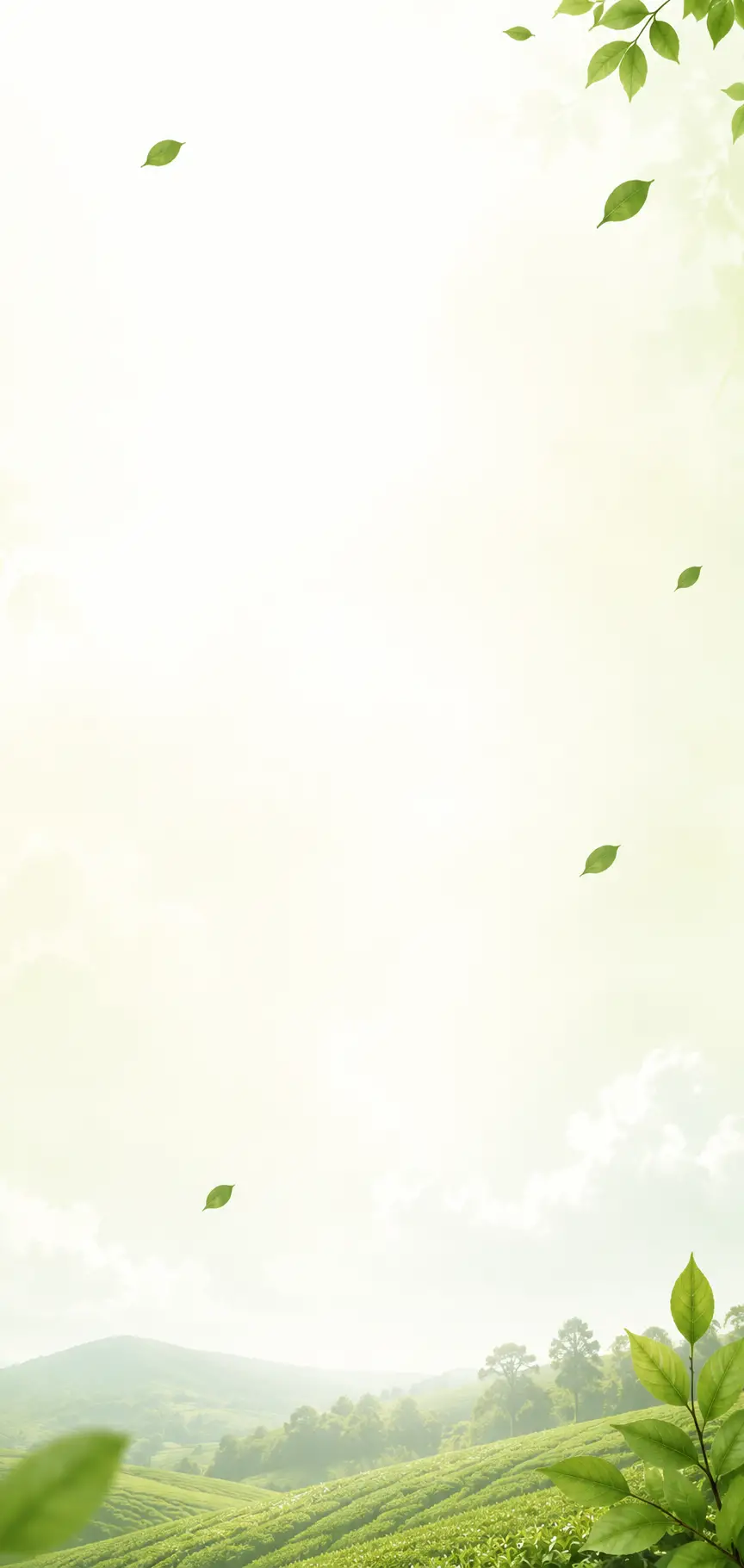bg_sec_img_CCSVC003_1x